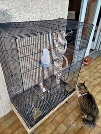 Gabbia grande per uccelli