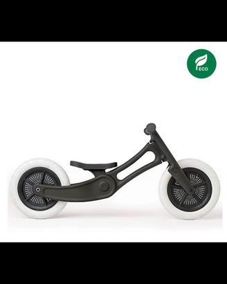 Bicicletta pedagogica Wishbone bike