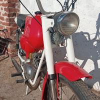 Moto Maino