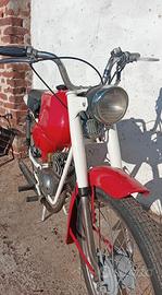 Moto Maino