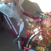 City Bike Bianchi