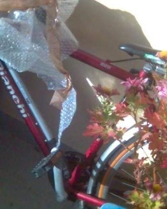 City Bike Bianchi