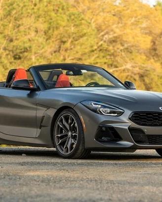 RICSAMBI BMW Z4 ANNO 2024