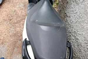carnaby 300