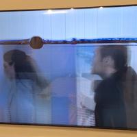 SAMSUNG  UE55AU8070U. Schermo rotto