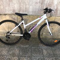 Bici mtb 26