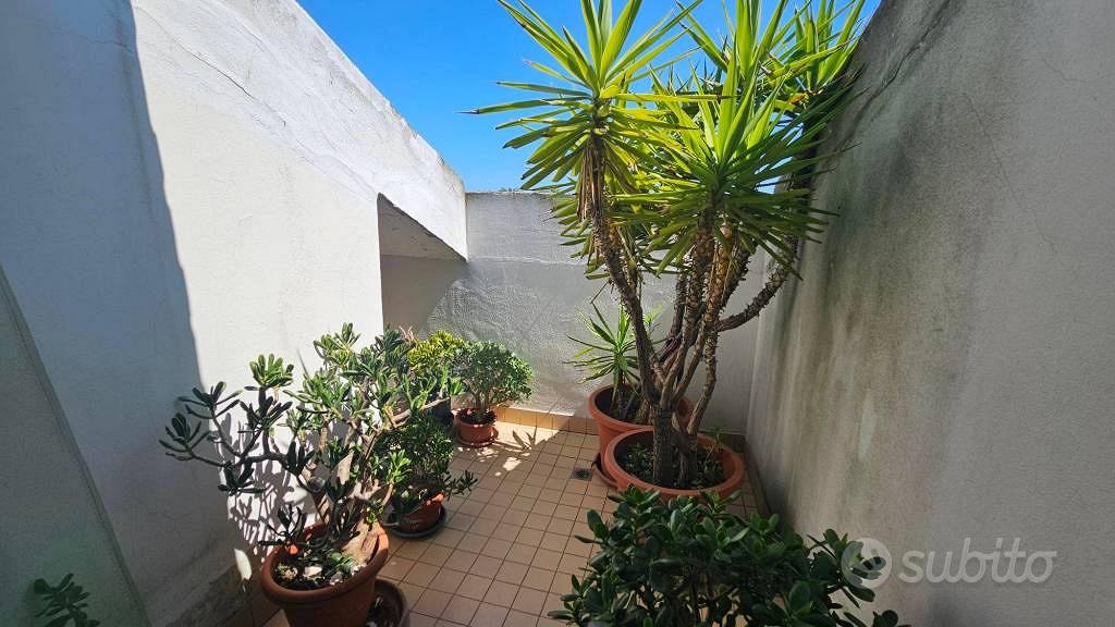 Appartamento – Cattolica, Rimini - Vista 4