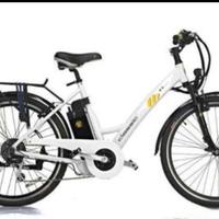 bicicletta pedalata assistita 