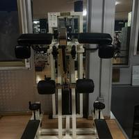 Standing Gluteus Technogym – Glutei e femorali