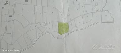 Terreno agricolo Briana