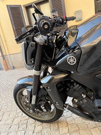 Fz1 2009