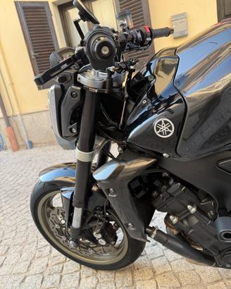 Fz1 2009