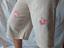 Immagine 4