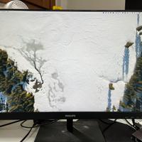 Monitor philips 24 pollici 2K