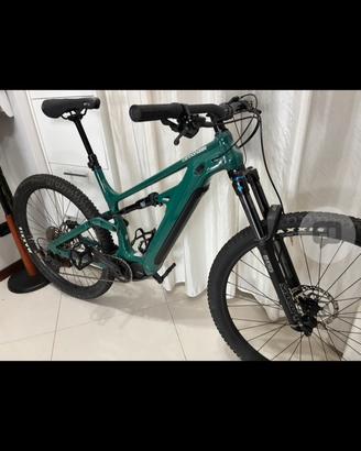 Stupenda cannondale moterra neo L color pine