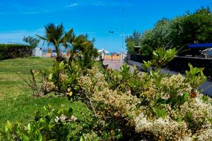 Direttamente in spiaggia