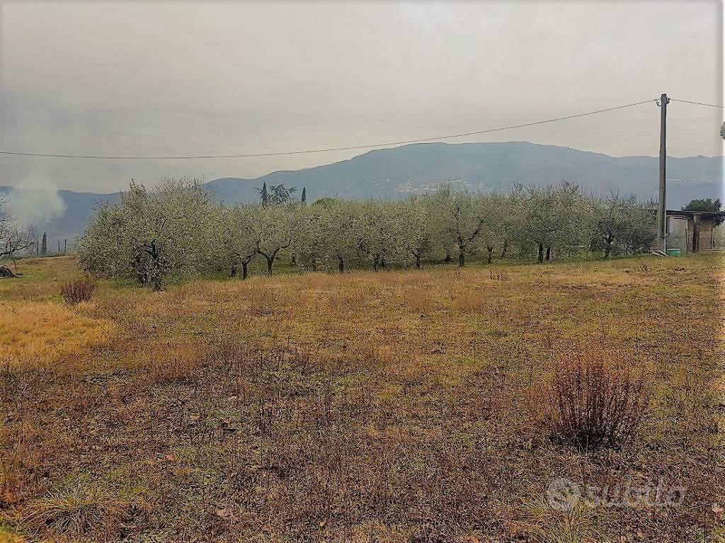 Terreno di 3000 m² a Lucca - Vista 4