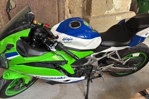 Kawasaki Ninja ZX-4RR 40th Anniversary