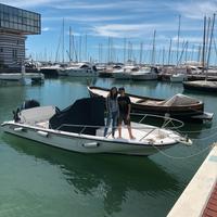 Boston Whaler dauntless 220