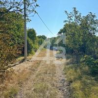 TERRENO SEMINATIVO - 813 MQ - PROSECCO