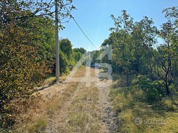 TERRENO SEMINATIVO - 813 MQ - PROSECCO