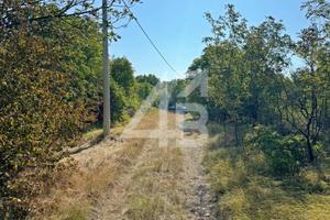 TERRENO SEMINATIVO - 813 MQ - PROSECCO