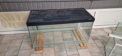 acquario