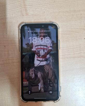 Iphone XR in condizioni perfette 