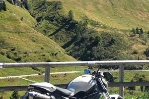 Monster 696 termignoni cinghie