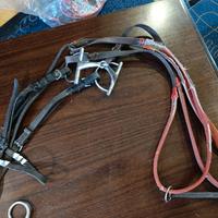 briga per cavalli usata completa di morso 