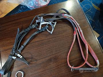 briga per cavalli usata completa di morso 