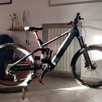 E-bike carbon