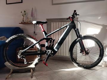 E-bike carbon
