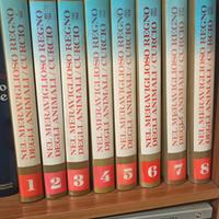 enciclopedia Nel meraviglio regno degli animali