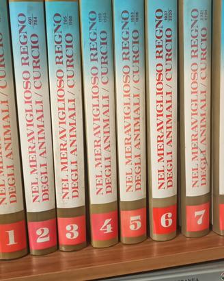 enciclopedia Nel meraviglio regno degli animali