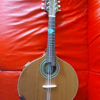 Mandolino brasiliano bandolim