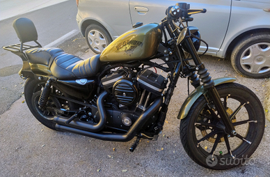 Harley Davidson 883 Iron