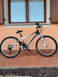 Bicicletta jumpertreck