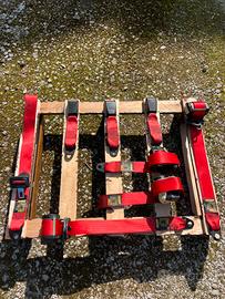 Cinte rosse, cinture di sicurezza