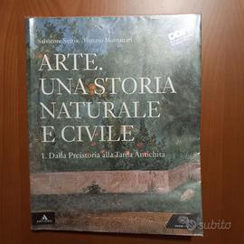 ARTE. Una storia naturale e civile