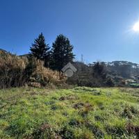 TERRENO A SAN COLOMBANO CERTENOLI