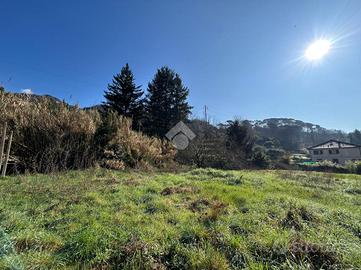TERRENO A SAN COLOMBANO CERTENOLI