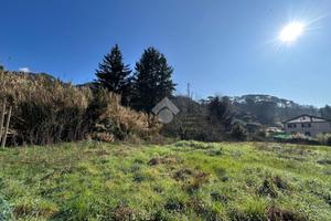 TERRENO A SAN COLOMBANO CERTENOLI