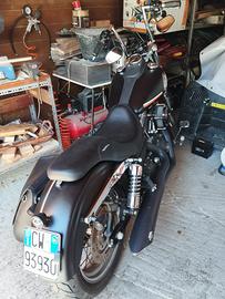 Harley davidson street bob