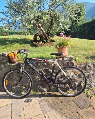 bici uomo