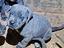 Immagine 4