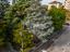 Immagine 26