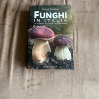 Funghi in italia