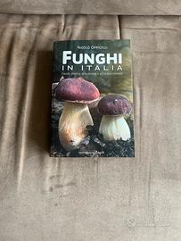 Funghi in italia