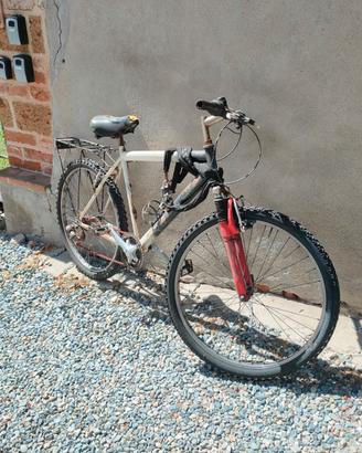 Mountain bike "da battaglia"